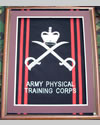 Large Embroidered Badge in a 20 x 16 Mahogany Wood Frame - Army Physical Training Corps