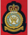 Blazer Badge - Royal Air Force Regiment